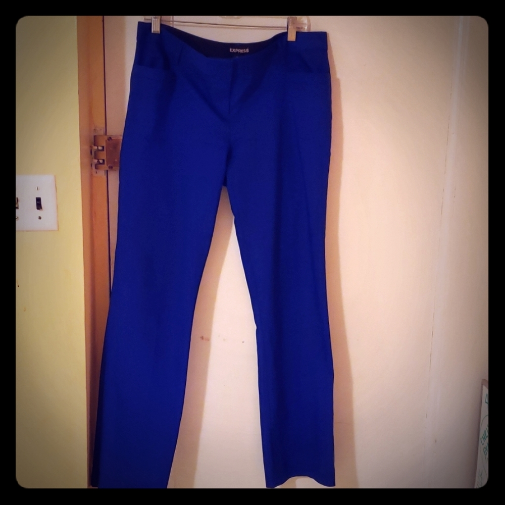 Express Columnist Pants